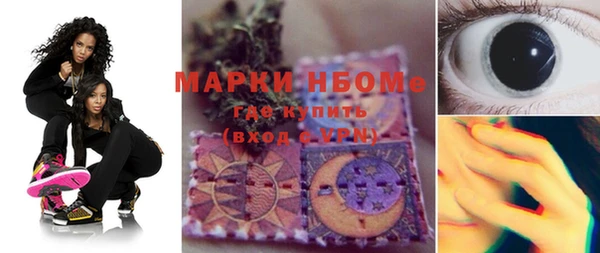 стаф Верея
