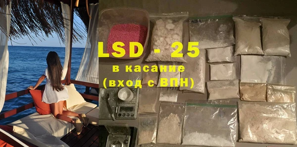 стаф Верея