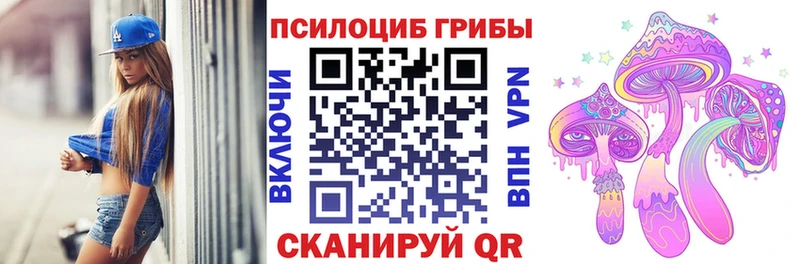 сколько стоит  Луга  Псилоцибиновые грибы MAGIC MUSHROOMS 