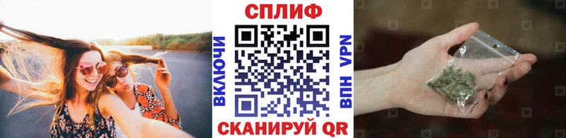 Каннабис Amnesia Луга