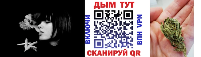 Канабис конопля  Луга 